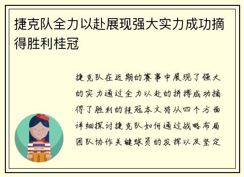 捷克队全力以赴展现强大实力成功摘得胜利桂冠